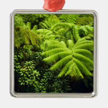 Hawaii, Big Island, Lush tropical greenery in 2 Christmas Tree Ornaments
