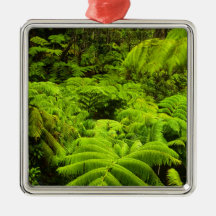 Hawaii, Big Island, Lush tropical greenery in Christmas Tree Ornaments