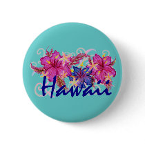 Hawaii button