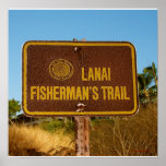 Hawaii fishing poster