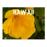 Hawaii Flower Postcards