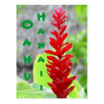 Hawaii Flower Postcards