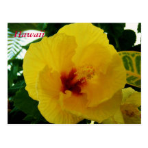 Hawaii Flowers Post Card
