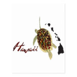 Hawaii Green Sea Turtle Postcard