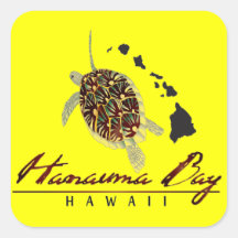 Hawaii Green Sea Turtle Square Sticker