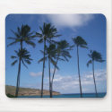 Hawaii Palms mousepads