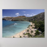 Hawaii paradisiac beach Poster