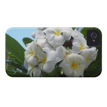 Hawaii Plumeria Case-Mate iPhone 4 Case
