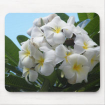 Hawaii Plumeria Flower Mouse Pad