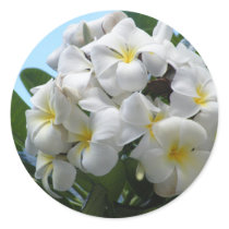 Hawaii Plumeria Stickers