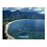 Hawaii Postcard