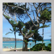 Hawaii Posters