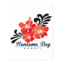 Hawaii Red Hibiscus Flowers Postcards