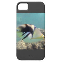 Hawaii State Fish - Humuhumunukunukuapua'a iPhone 5 Case