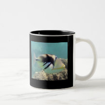 Hawaii State Fish - Humuhumunukunukuapua'a Mug