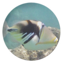 Hawaii State Fish - Humuhumunukunukuapua'a Dinner Plate