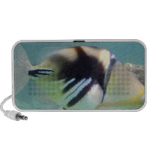 Hawaii State Fish - Humuhumunukunukuapua'a Travelling Speakers