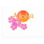 Hawaii Sun Postcard