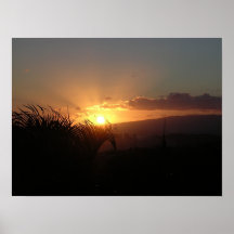Hawaii Sunset Posters