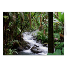 Hawaii the Big Island Card