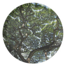 Hawai'i Treetops Party Plates