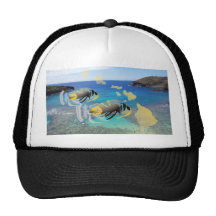 Hawaii Trigger Fish Cap Mesh Hat