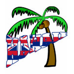 Hawaii with Palm Tree Products t-shirts