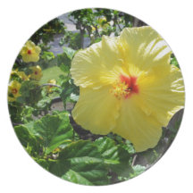 Hawaii Yellow Hibiscus Plates
