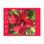 Hawaiian Aloha Red Hibiscus Flower Postcard
