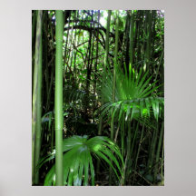 Hawaiian Bamboo and Palms Print