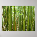 Hawaiian Bamboo Posters