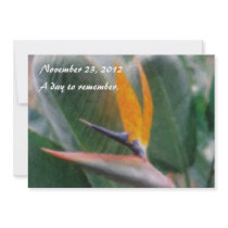 Hawaiian Bird of Paradise Invitations