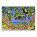 Hawaiian Bishop's O'o cards