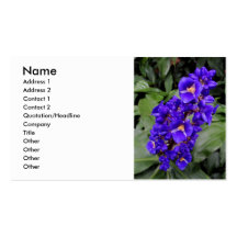 Hawaiian Blue Ginger Business Cards