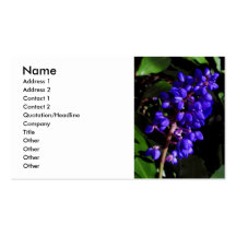 Hawaiian Blue Ginger Business Cards