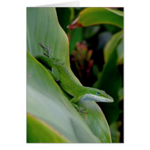 Hawaiian Chameleon Greeting Card