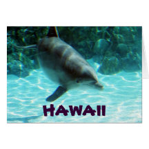 Hawaiian Dolphin card