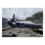Hawaiian Driftwood Whale Greeting Cards