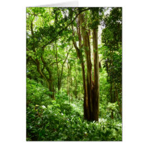 Hawaiian Eucalyptus Trail Cards
