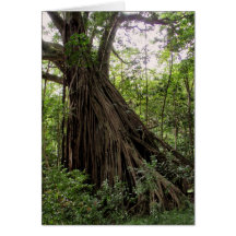 Hawaiian Fig Tree Greeting Card