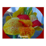 Hawaiian Floral Postcard