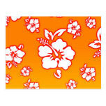 Hawaiian Flowers Postcards