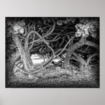 HAWAIIAN GROUND VINES PRINT