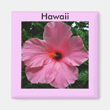 Hawaiian Hibiscus Magnet