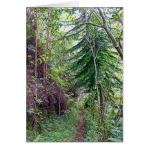 Hawaiian Hiking Trail Card