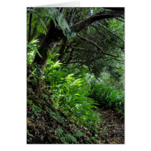 Hawaiian Hiking Trail Card