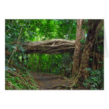 Hawaiian Hiking Trail Card