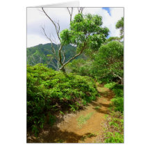 Hawaiian Hiking Trail Cards