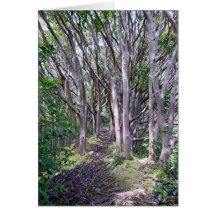 Hawaiian Hiking Trail Cards