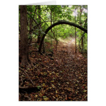 Hawaiian Hiking Trail Cards